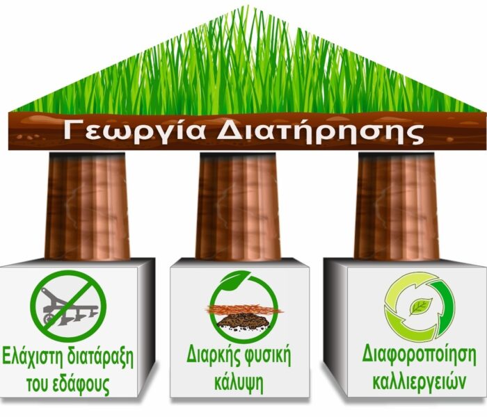 georgia_diatirisis georgia_diatirisis