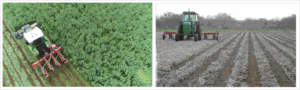 Strip tillage