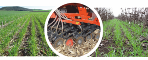 No-tillage